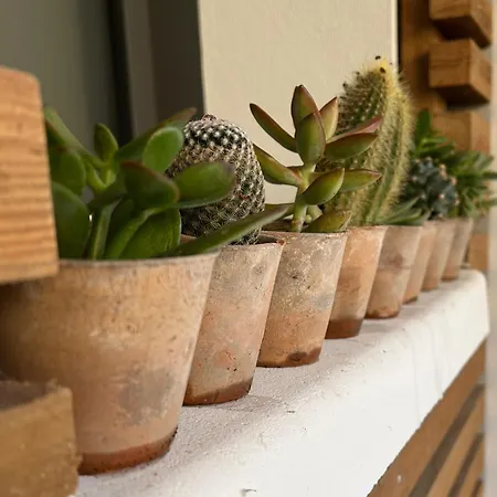 Βίλα Cluque- Maisons De Capbreton